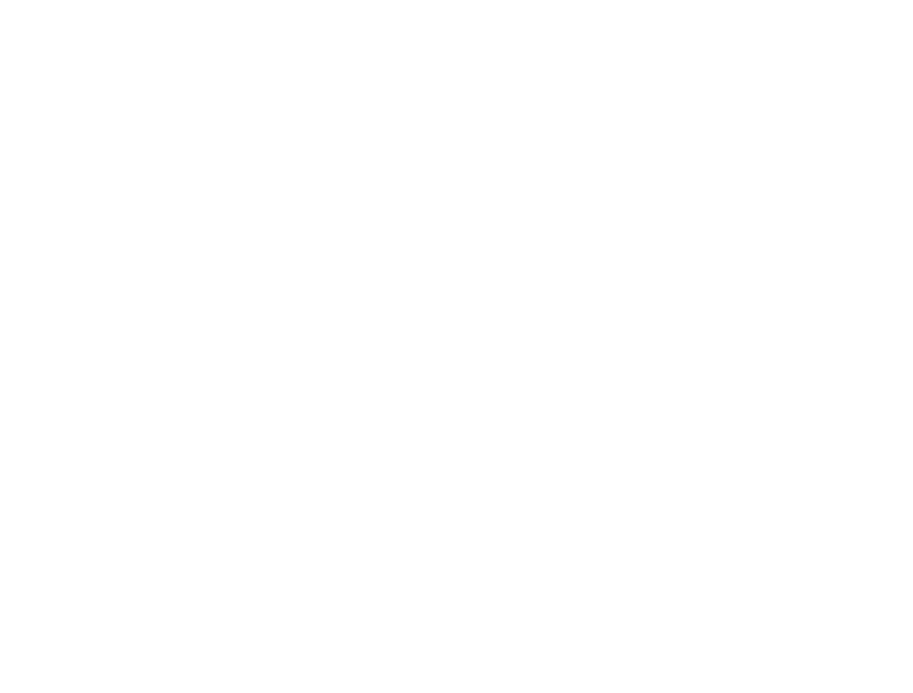 Paramount Virtual Assistant Executive
