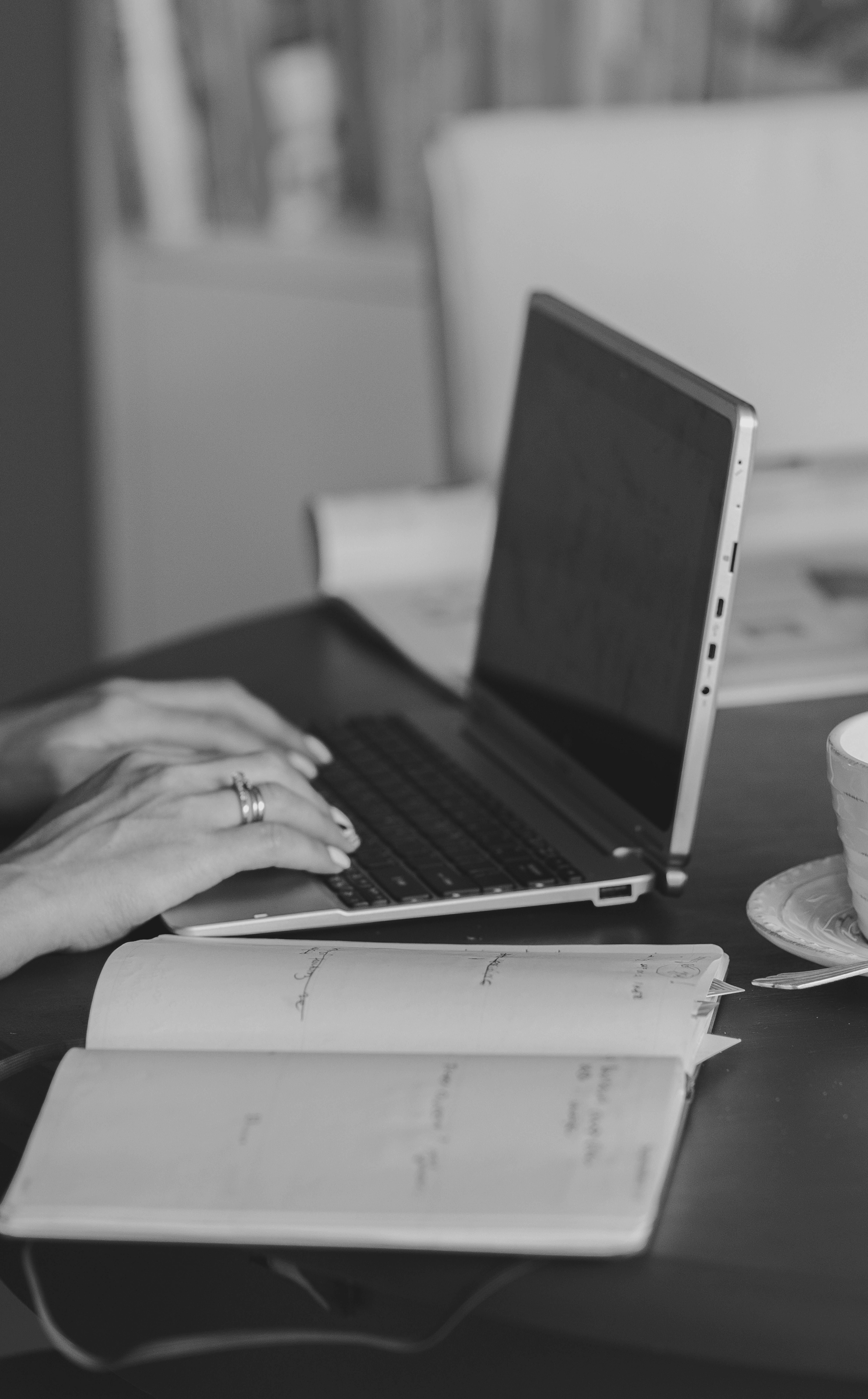Paramount Virtual Assistant Executive