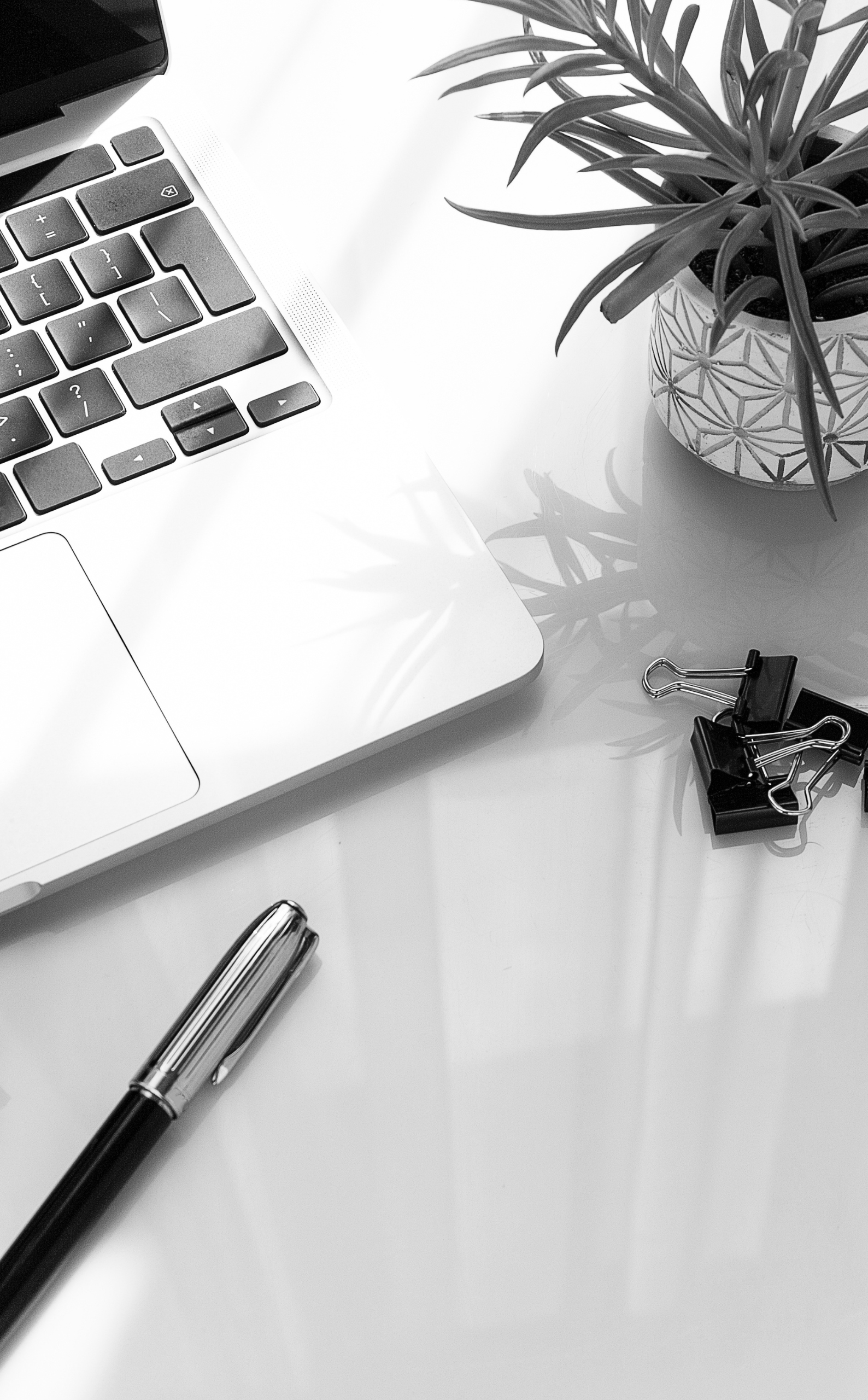 Paramount Virtual Assistant Executive